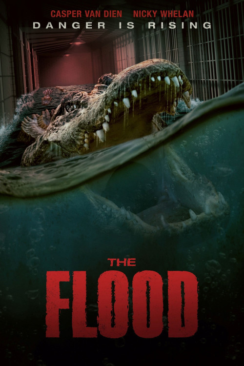 دانلود فیلم The Flood