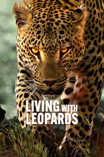 دانلود فیلم Living with Leopards