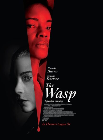 دانلود فیلم The Wasp