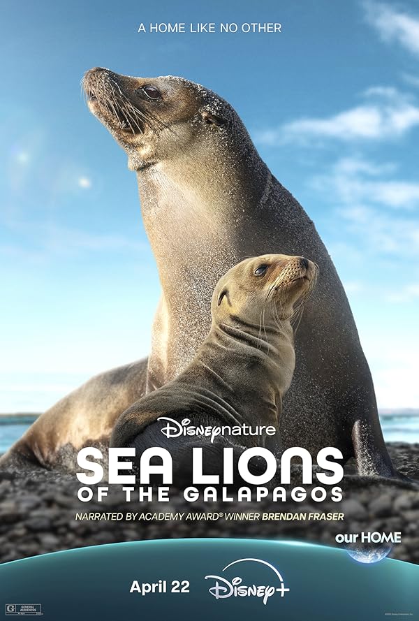 دانلود فیلم Sea Lions of the Galapagos