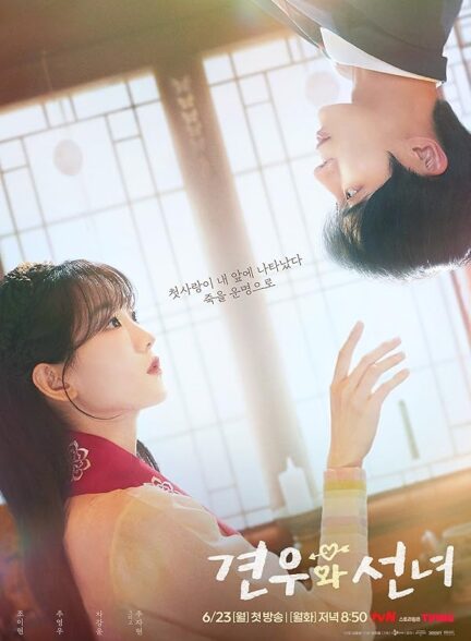 دانلود سریال Head Over Heels