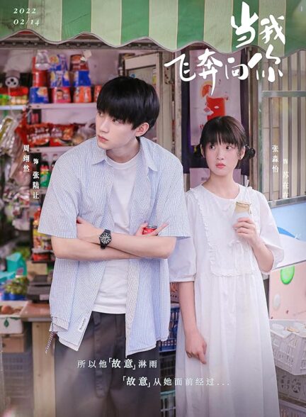 دانلود سریال When I Fly Towards You