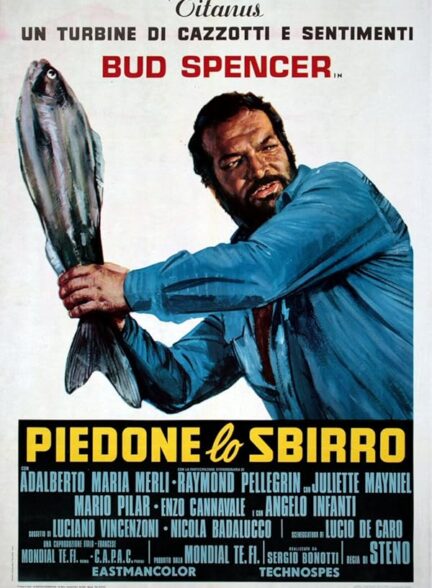 دانلود فیلم The Knock Out Cop