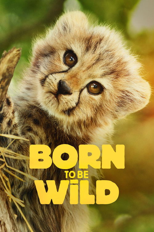 دانلود سریال  Born to be Wild